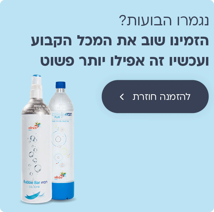 הזמנה חוזרת